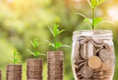 怎么看到专利是第几发明人