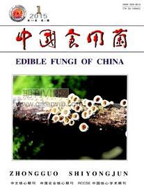 中国食用菌