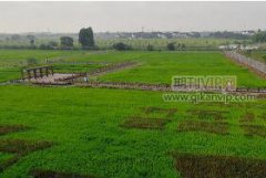 园艺方面的sci审稿人怎么推荐