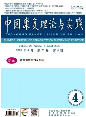 中国康复理论与实践是北核吗