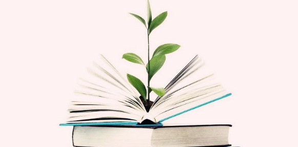 论文重投一般审稿多久