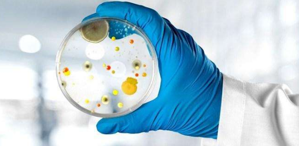 应用微生物领域有没有好发的sci杂志