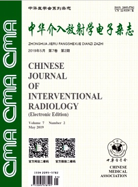 中华介入放射学电子杂志是属于什么级别