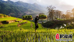 环境类的ei杂志有哪些