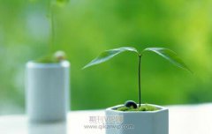 职称论文就是学术论文吗