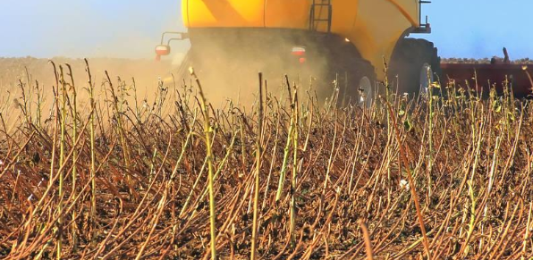 农艺学领域的sci杂志哪些好发表