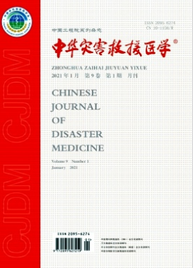 中华灾害救援医学杂志广东评审副高承认吗