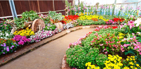 关于花园的期刊有哪些