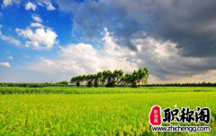 职称论文对数据库有要求吗