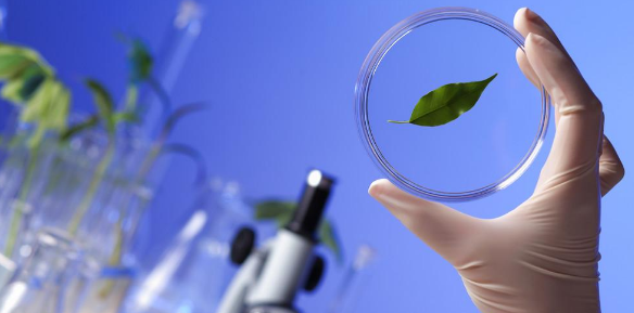 生物学期刊有哪些