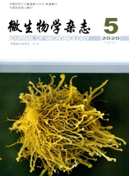 微生物学杂志是C刊吗