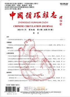 中国循环