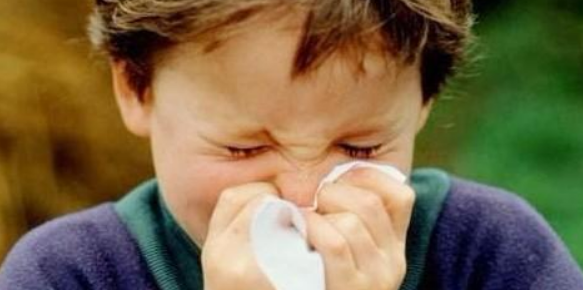 过敏领域的sci杂志哪些容易发表