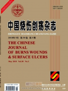 国内关于烧伤的学术期刊有哪些