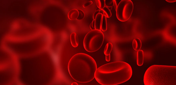 血液学被SCI收录的杂志有那些