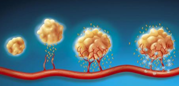 肿瘤学sci杂志有哪些