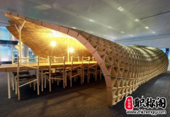 论文大纲和论文的目录有区别吗