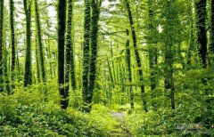 园艺发sci选择期刊容易吗