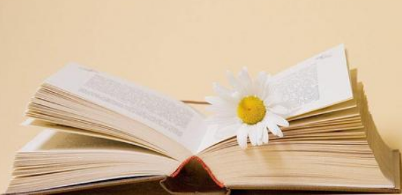 论文的开题报告一般多少字