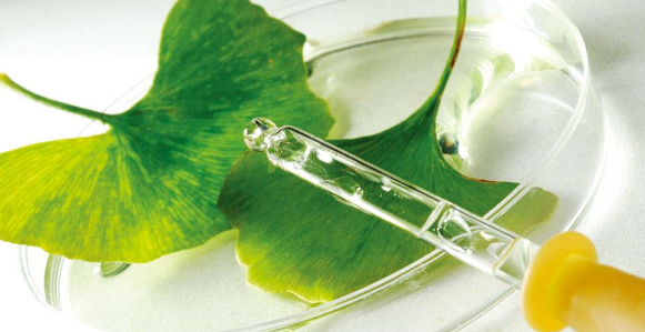 生物教学期刊有哪些