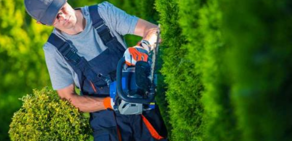 园艺师评职称认可的期刊有哪些