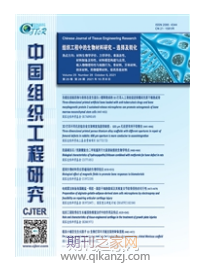 中国组织工程研究