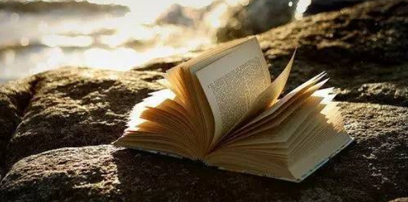 出版社副主编参编证明怎么开