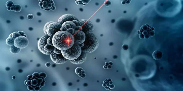 细胞领域有哪些sci杂志比较好