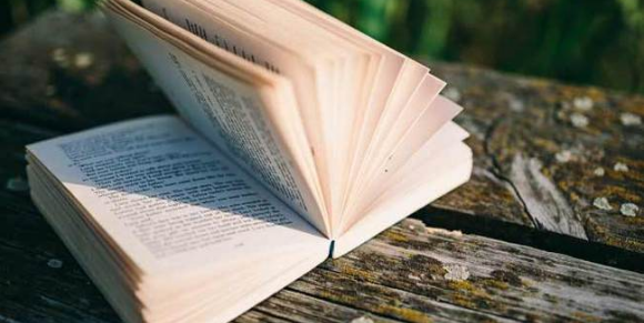 论文引言和摘要的区别