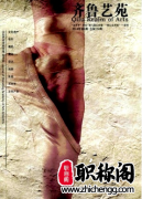 齐鲁艺苑是c刊吗