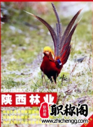 审稿快的农业期刊有哪些