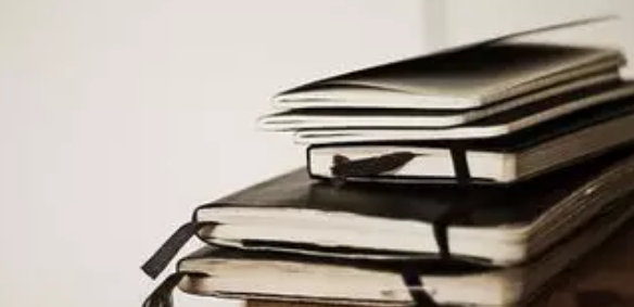 国内英文期刊有哪些