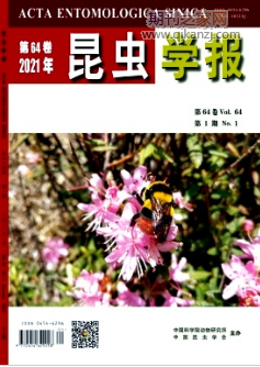 昆虫学报