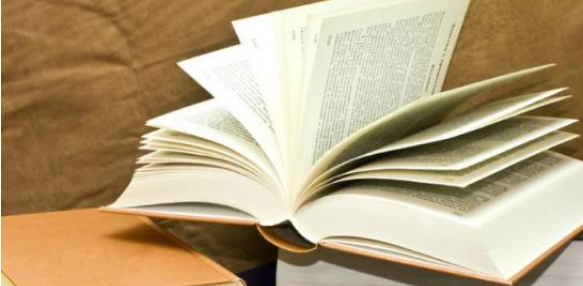 论文前言和引言一样吗