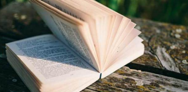 论文前言和摘要的区别有哪些