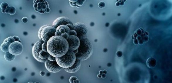 与过敏相关的医学期刊有哪些