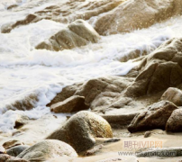 ssci收录哪些商业学专业期刊