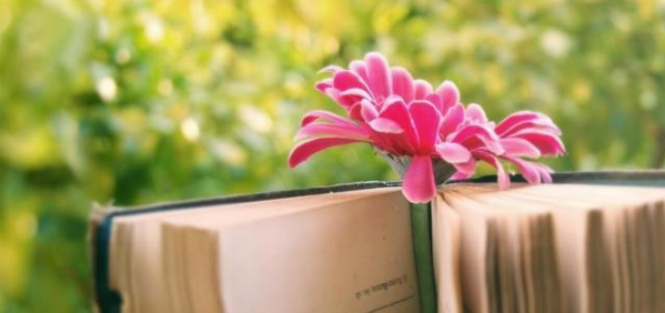 论文数据来源怎么注明