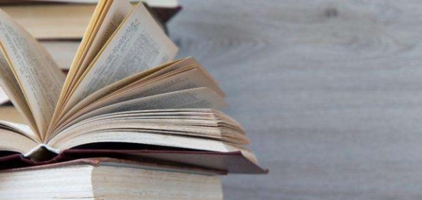 论文审稿分几个阶段