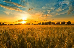 高级规划师职称评审要求有什么