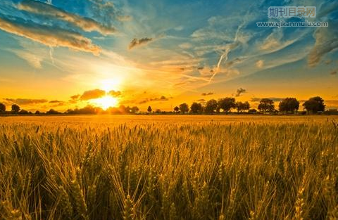 高级规划师职称评审要求有什么
