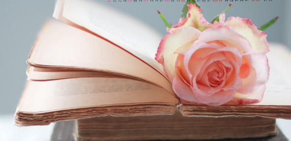 双通讯作者前后顺序有区别吗