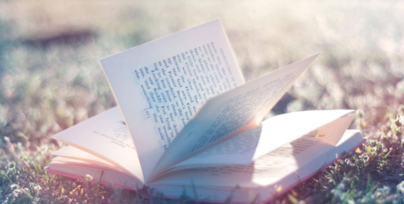 论文under review是什么意思