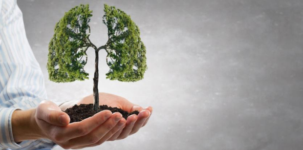 sci收录了哪些呼吸系统的医学期刊