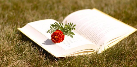 旬刊和月刊的区别