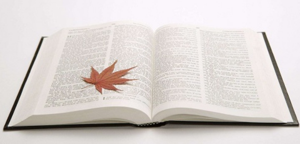 软著和专利哪个评职称更好用