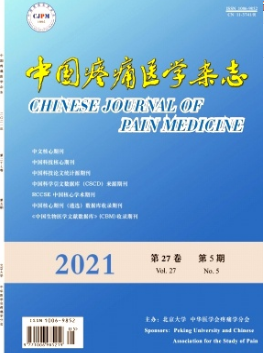 中国疼痛医学杂志是cscd吗