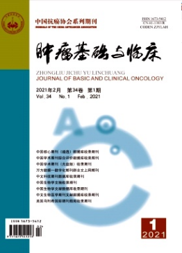 肿瘤基础与临床是核心吗