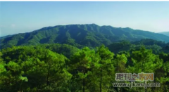 内蒙古自治区林业工程师评审条件