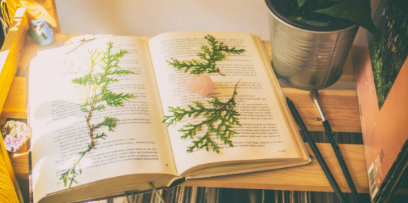 容易发表的sci水资源领域的杂志有哪些